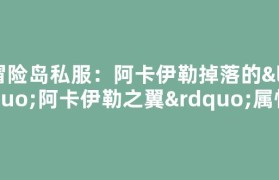 冒险岛私服：阿卡伊勒掉落的“阿卡伊勒之翼”属性