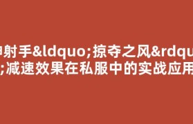 神射手“掠夺之风”减速效果在私服中的实战应用