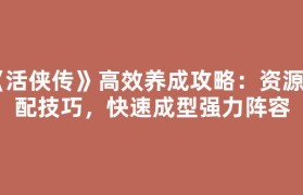 《活侠传》高效养成攻略：资源分配技巧，快速成型强力阵容