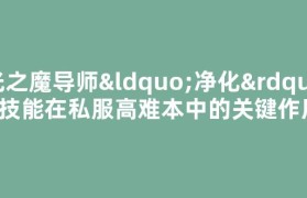 光之魔导师“净化”技能在私服高难本中的关键作用