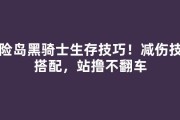 冒险岛黑骑士生存技巧！减伤技能搭配，站撸不翻车