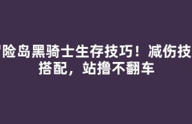 冒险岛黑骑士生存技巧！减伤技能搭配，站撸不翻车