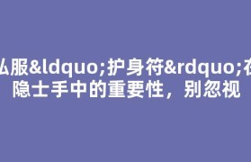 私服“护身符”在隐士手中的重要性，别忽视