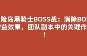 冒险岛黑骑士BOSS战：消除BOSS增益效果，团队副本中的关键作用！