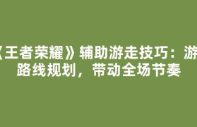 《王者荣耀》辅助游走技巧：游走路线规划，带动全场节奏