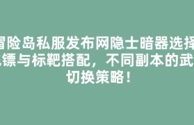 冒险岛私服发布网隐士暗器选择：飞镖与标靶搭配，不同副本的武器切换策略！